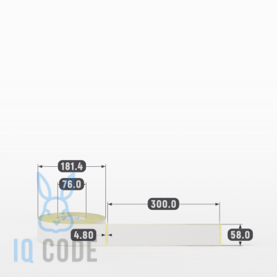 Термотрансферная этикетка 58х300 полуглянцевая, втулка 76 мм (к) (рядов 1 по 500 шт)  IQ code	