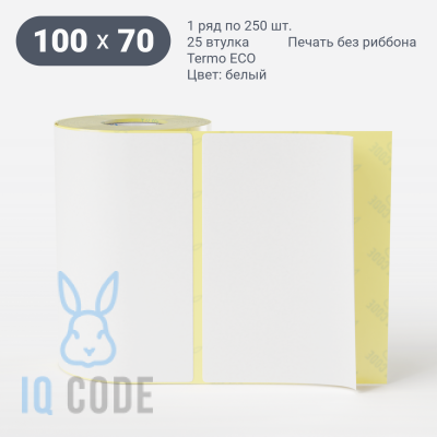 Термоэтикетка ЭКО 100х70, втулка 25 мм (к) (рядов 1 по 250 шт)  IQ code	