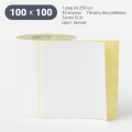 Термоэтикетка ЭКО 100х100 (рядов 1 по 250 шт)  в рулоне, втулка 40 мм (к) IQ code